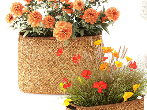 Ortensia Peonia Papavero Iris Cespugli di fiori Cesti da giardino Modello 3D