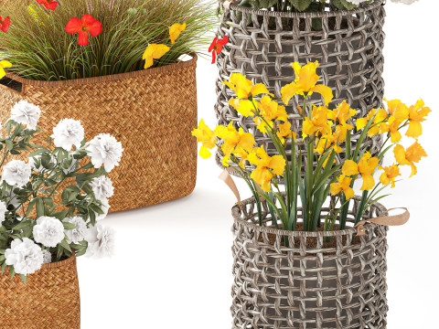 Ortensia Peonia Papavero Iris Cespugli di fiori Cesti da giardino Modello 3D