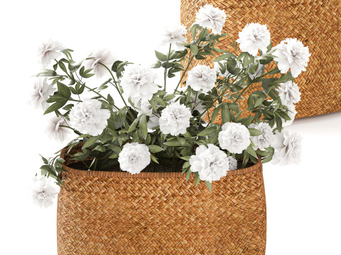 Ortensia Peonia Papavero Iris Cespugli di fiori Cesti da giardino Modello 3D