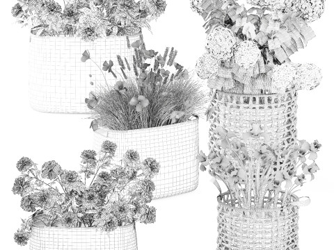 Ortensia Peonia Papavero Iris Cespugli di fiori Cesti da giardino Modello 3D