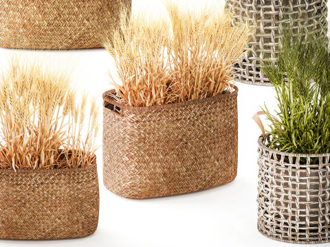 Cespugli di grano verde essiccato in cesti di fiori creano decorazioni Modello 3D