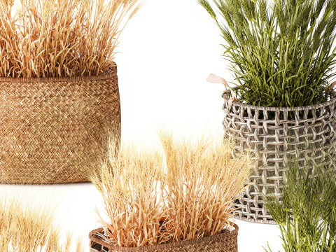 Cespugli di grano verde essiccato in cesti di fiori creano decorazioni Modello 3D