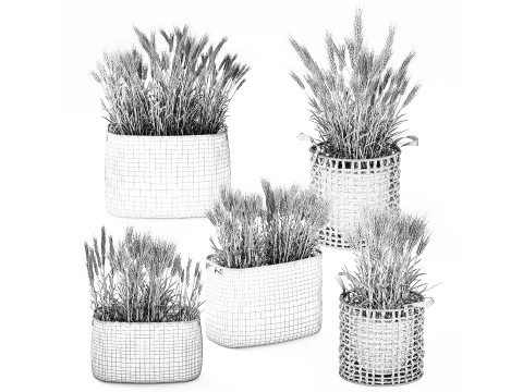 Cespugli di grano verde essiccato in cesti di fiori creano decorazioni Modello 3D