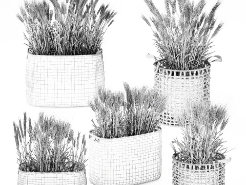 Cespugli di grano verde essiccato in cesti di fiori creano decorazioni Modello 3D