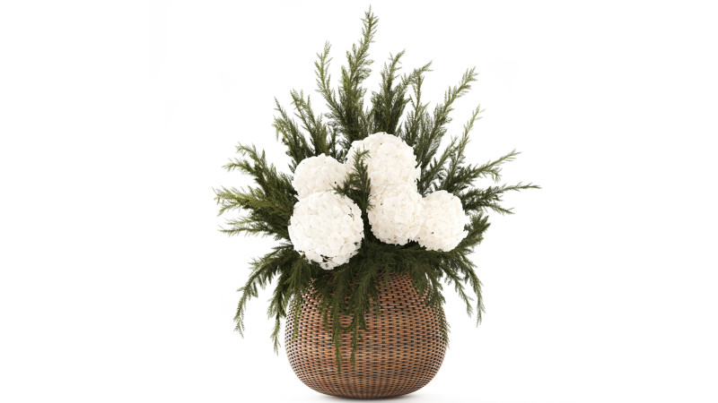 逼真的花束杜松树枝绣球花瓶 3D 模型 .c4d .max .obj .3ds .fbx .stl .blend