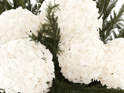 逼真的花束杜松树枝绣球花瓶 3D 模型