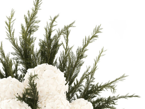 逼真的花束杜松树枝绣球花瓶 3D 模型