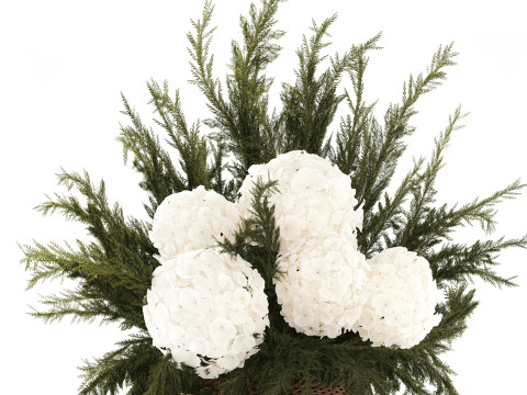 逼真的花束杜松树枝绣球花瓶 3D 模型