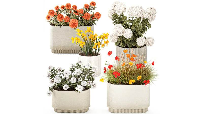 फूलों का संग्रह हाइड्रेंजिया पेनी आइरिस पोस्ता पॉट फूलदान 3D मॉडल .c4d .max .obj .3ds .fbx .stl .blend 