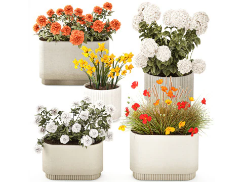 Kolekcja kwiat&oacute;w Hortensja Piwonia Irys Poppy Wazon doniczki Model 3D