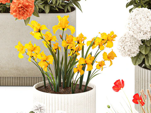 फूलों का संग्रह हाइड्रेंजिया पेनी आइरिस पोस्ता पॉट फूलदान 3D मॉडल