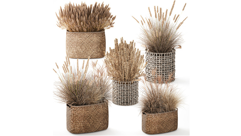 Cestino di fiori secchi secchi, erba di pampa, canne, cespugli, decorazioni Modello 3D .c4d .max .obj .3ds .fbx .stl .blend