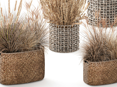 Cestino di fiori secchi secchi, erba di pampa, canne, cespugli, decorazioni Modello 3D