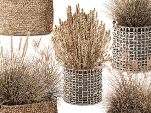 Cestino di fiori secchi secchi, erba di pampa, canne, cespugli, decorazioni Modello 3D