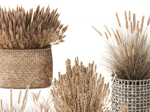 Cestino di fiori secchi secchi, erba di pampa, canne, cespugli, decorazioni Modello 3D
