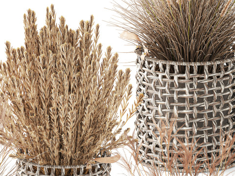 Cestino di fiori secchi secchi, erba di pampa, canne, cespugli, decorazioni Modello 3D