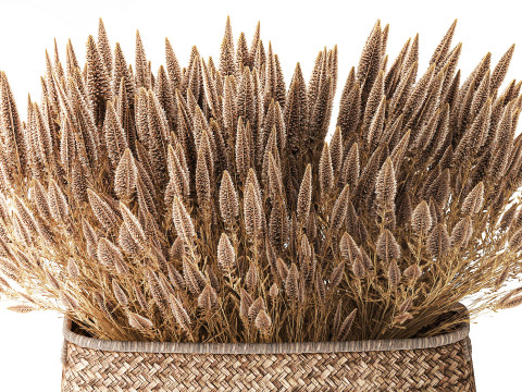 Cestino di fiori secchi secchi, erba di pampa, canne, cespugli, decorazioni Modello 3D