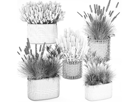 Cestino di fiori secchi secchi, erba di pampa, canne, cespugli, decorazioni Modello 3D