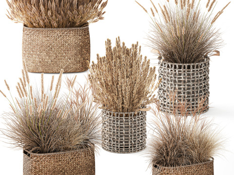 Cestino di fiori secchi secchi, erba di pampa, canne, cespugli, decorazioni Modello 3D