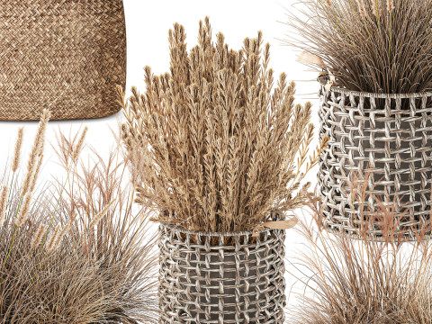 Cestino di fiori secchi secchi, erba di pampa, canne, cespugli, decorazioni Modello 3D