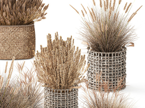 Cestino di fiori secchi secchi, erba di pampa, canne, cespugli, decorazioni Modello 3D