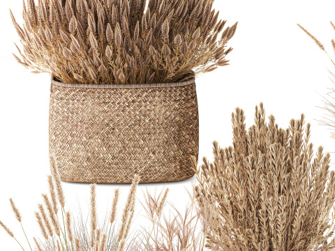 Cestino di fiori secchi secchi, erba di pampa, canne, cespugli, decorazioni Modello 3D