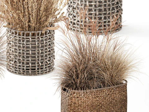 Dry dried flowers basket pampas grass reeds bushes decor 3D Model