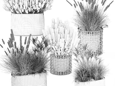 Cestino di fiori secchi secchi, erba di pampa, canne, cespugli, decorazioni Modello 3D