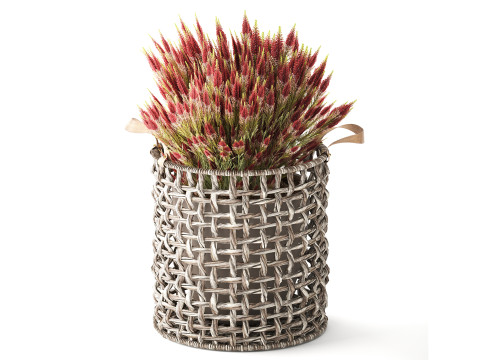 Wilde bloemenstruiken potbloemenmand Calluna heide 3D Model