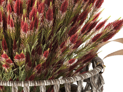 Arbustos de flores silvestres cesta de flores en macetas Calluna heather Modelo 3D