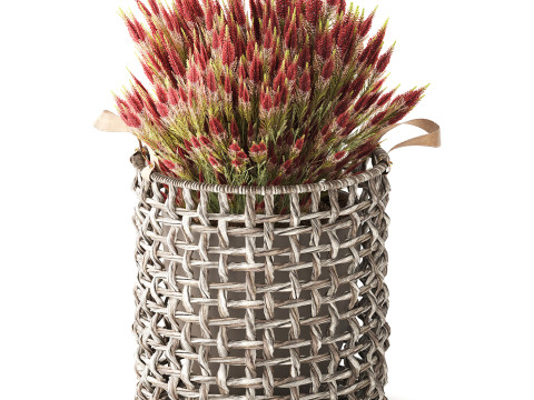 Arbustos de flores silvestres cesta de flores en macetas Calluna heather Modelo 3D