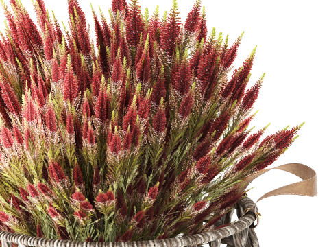 Arbustos de flores silvestres cesta de flores en macetas Calluna heather Modelo 3D