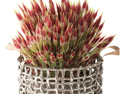 Arbustos de flores silvestres cesta de flores en macetas Calluna heather Modelo 3D