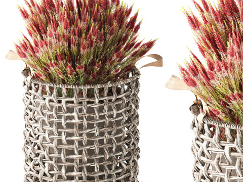 Arbustos de flores silvestres cesta de flores en macetas Calluna heather Modelo 3D