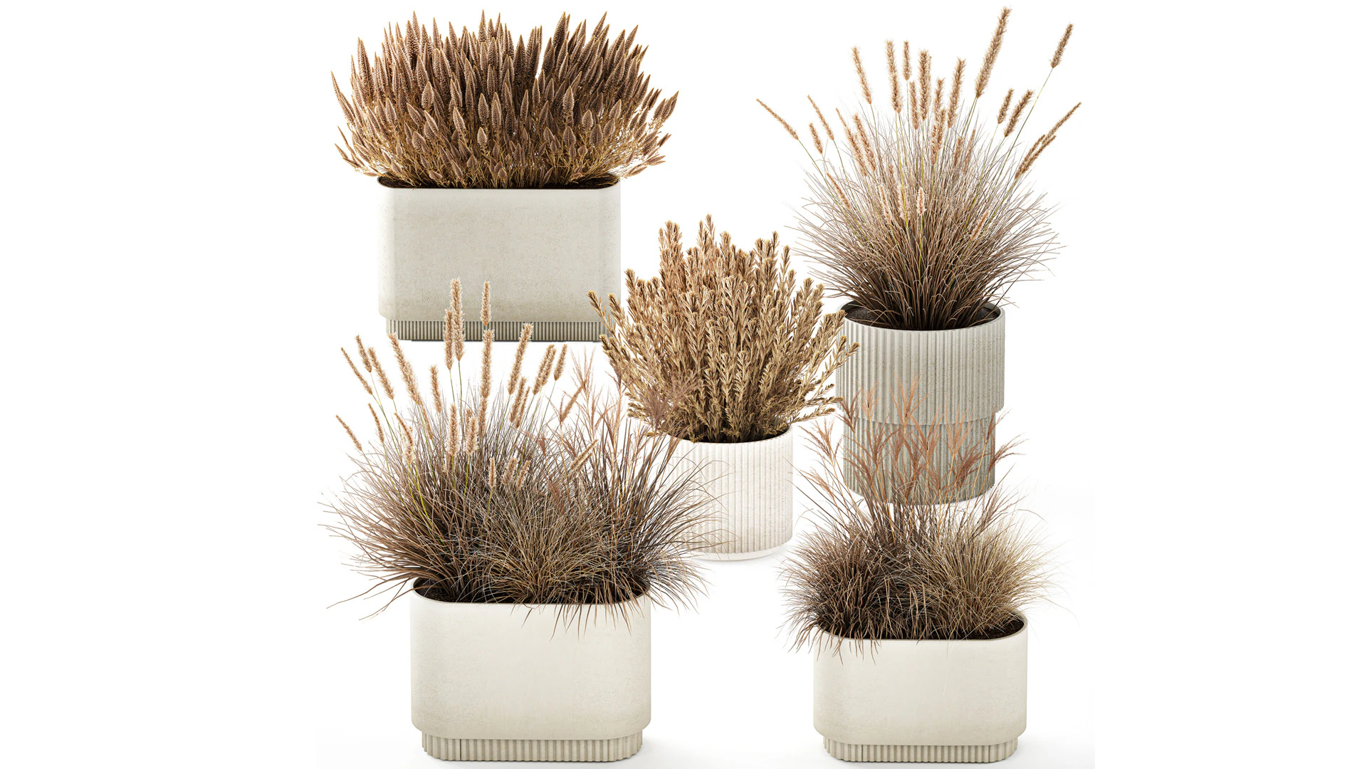 Collezione Vasi Di Fiori Secchi Cespugli Di Erba Di Pampa Modello 3D .c4d .max .obj .3ds .fbx .stl .blend