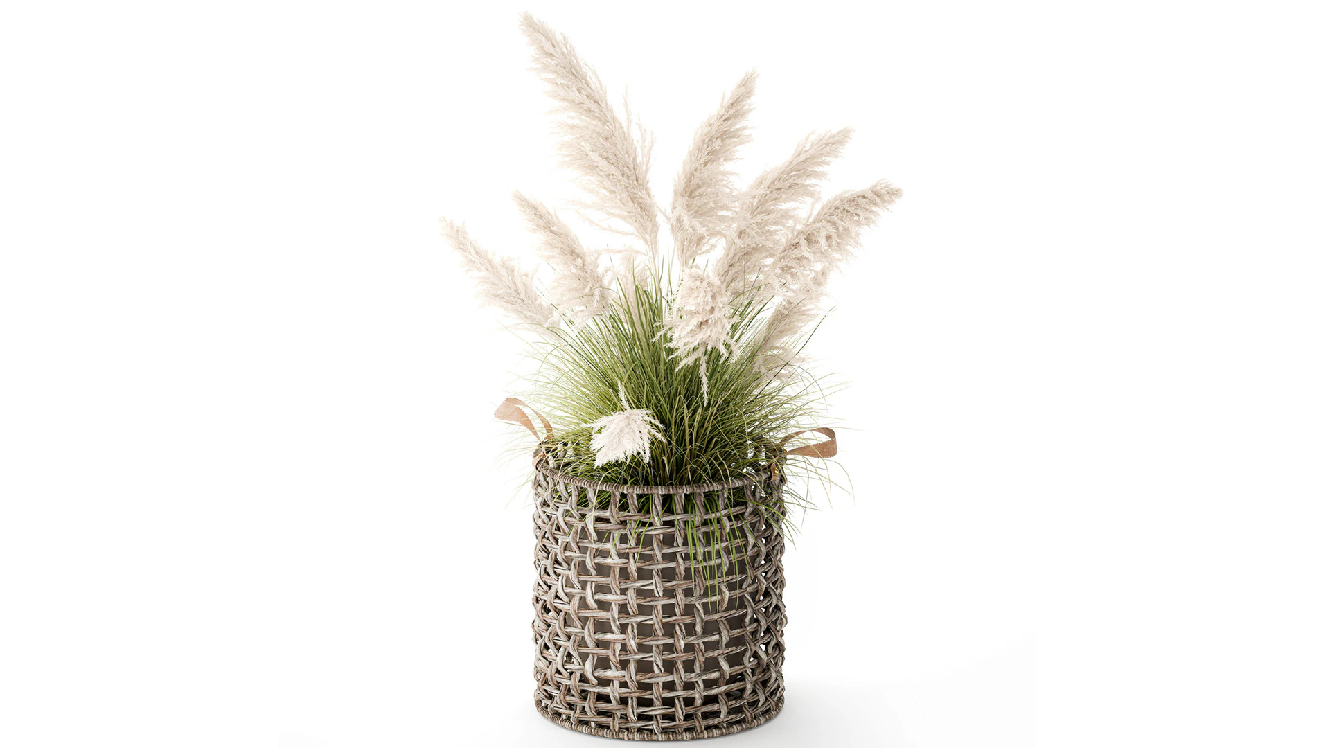 Bush White Pampas Grass Cortaderia Reed Basket decor 3D Model .c4d .max .obj .3ds .fbx .stl .blend 