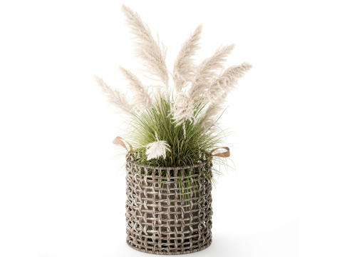 बुश व्हाइट पम्पास ग्रास कॉर्टेडेरिया रीड बास्केट सजावट 3D मॉडल