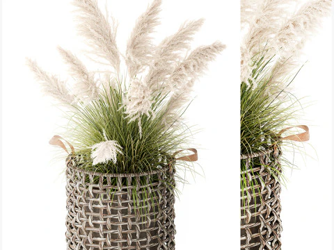 Bush White Pampas Grass Cortaderia Reed Basket decor 3D Model