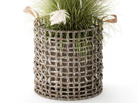 Bush White Pampas Grass Cortaderia Reed Basket decor 3D Model