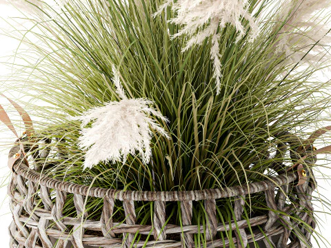 Bush White Pampas Grass Cortaderia Reed Basket decor 3D Model