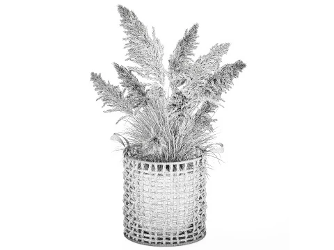 Bush White Pampas Grass Cortaderia Reed Basket decor 3D Model