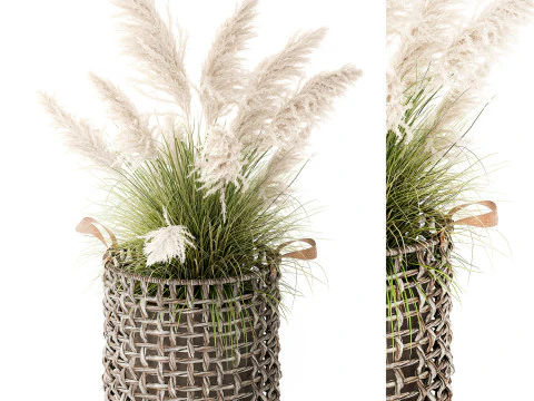 Bush White Pampas Grass Cortaderia Reed Basket decor 3D Model
