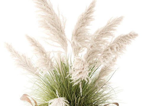 Bush White Pampas Grass Cortaderia Reed Basket decor 3D Model