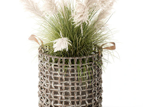 Bush White Pampas Grass Cortaderia Reed Basket decor 3D Model