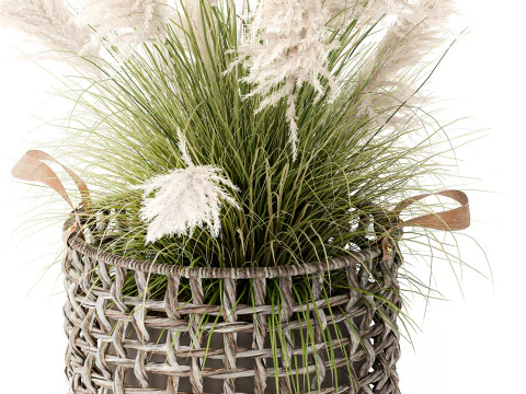 Bush White Pampas Grass Cortaderia Reed Basket decor 3D Model