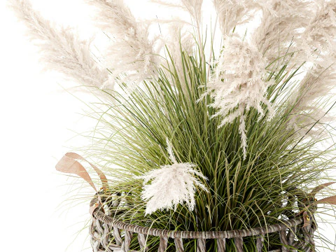 Bush White Pampas Grass Cortaderia Reed Basket decor 3D Model