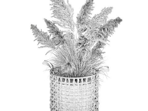 Bush White Pampas Grass Cortaderia Reed Basket decor 3D Model