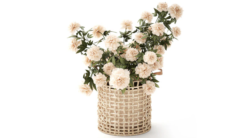 सफ़ेद पेनी फूल की झाड़ियाँ विकर फूलों की टोकरी सजावट 3D मॉडल .c4d .max .obj .3ds .fbx .stl .blend 