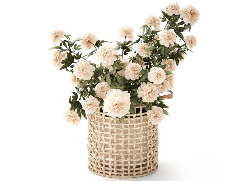 सफ़ेद पेनी फूल की झाड़ियाँ विकर फूलों की टोकरी सजावट 3D मॉडल