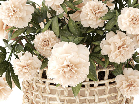 सफ़ेद पेनी फूल की झाड़ियाँ विकर फूलों की टोकरी सजावट 3D मॉडल